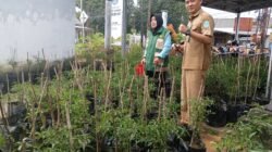 Program Gencar Gubernur Babel, Rambah Kelurahan di Kabupaten Bangka Ini Kata Lurah Sungailiat