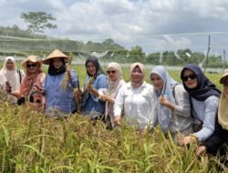 Wakil Gubernur Bangka Belitung, Dukung Ketahanan Pangan Daerah