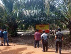 Berikut Klarifikasi Kuasa Hukum Menkiong, Setelah Lahan Sawit Kliennya di Pasang Plang