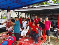 Berbagi Kepedulian DPC PDIP Bangka, Sembelih 2 Ekor Sapi
