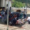 Pemkab Bangka Sembelih 9 Hewan Qurban
