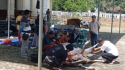Pemkab Bangka Sembelih 9 Hewan Qurban