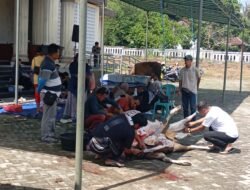 Pemkab Bangka Sembelih 9 Hewan Qurban