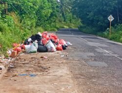 Menumpuk di Pinggir Jalan Perkuburan Tionghoa Desa Karya Makmur, Warga Pertanyakan Kemana Keberadaan Bak Penampungan Sampah?!